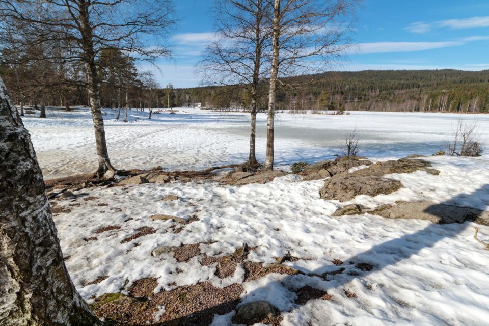 Oslo Summit: A Scenic Hiking Adventure to Vettakollen - Key Points