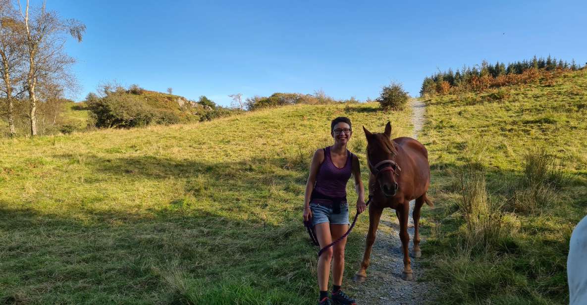 Packhorse Picnic Lake District Full Circle Experiences - Key Points