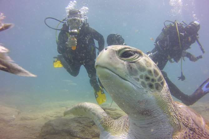 PADI Open Water Diver Course - Course Overview