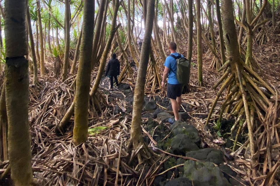 Pāhoa: Short Private Hike To Secret Jungle Tide Pool - Key Points