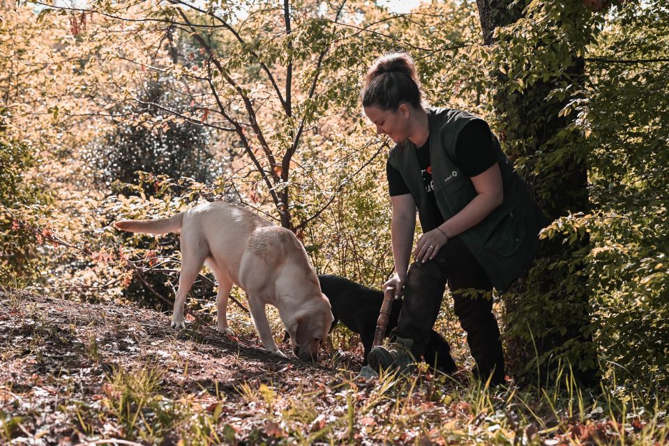 Paladini: Truffle Hunting Tour With 3-Course Tasting Menu - Key Points