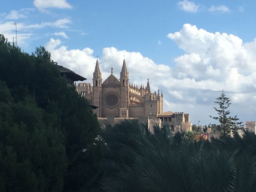 Palma De Mallorca: Guided Tour of the Old Town - Key Points