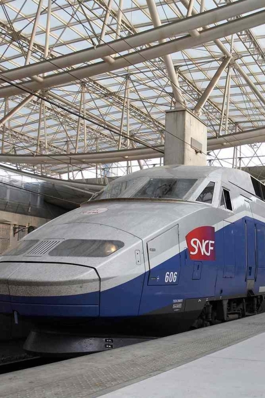 Paris Private Arrival Transfer: Railway Station to Hotel - Key Points