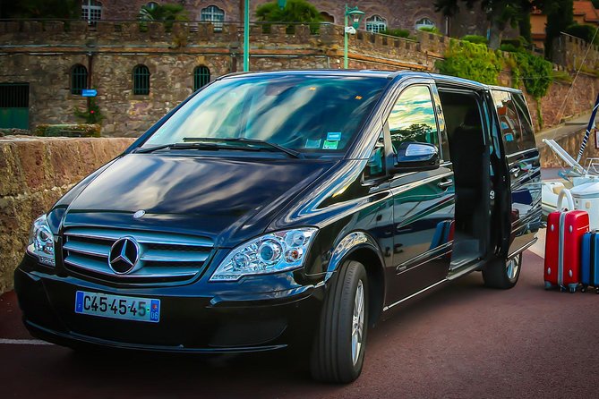 Paris Private Transfer Disneyland - Key Points