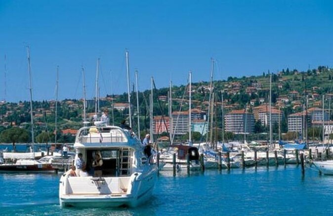 Piran and Scenic Slovenian Coast-Private Experience From Koper - Key Points