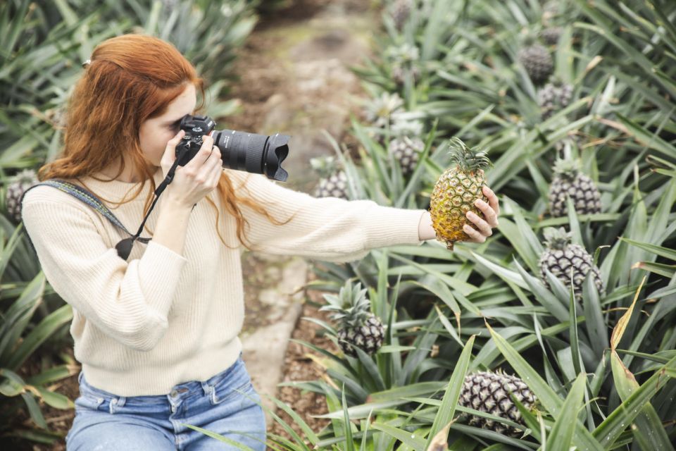 Ponta Delgada: Pineapple Wine Tasting and Pineapple Tour - Key Points