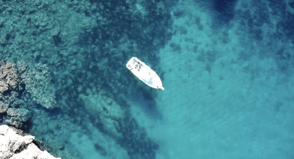 Port De Sóller: Snorkeling Tour With Professional Guide - Key Points