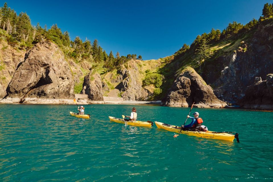 Port Orford: Kayak Tour to Orford Heads With Gear - Key Points