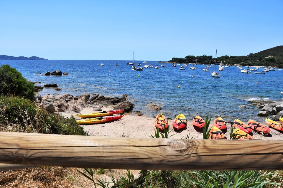 Porticcio: Guided Kayaking Tour - Key Points