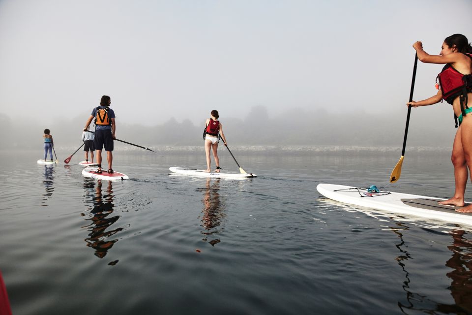 Portland, ME: Guided Harbor Paddleboard Tour - Key Points