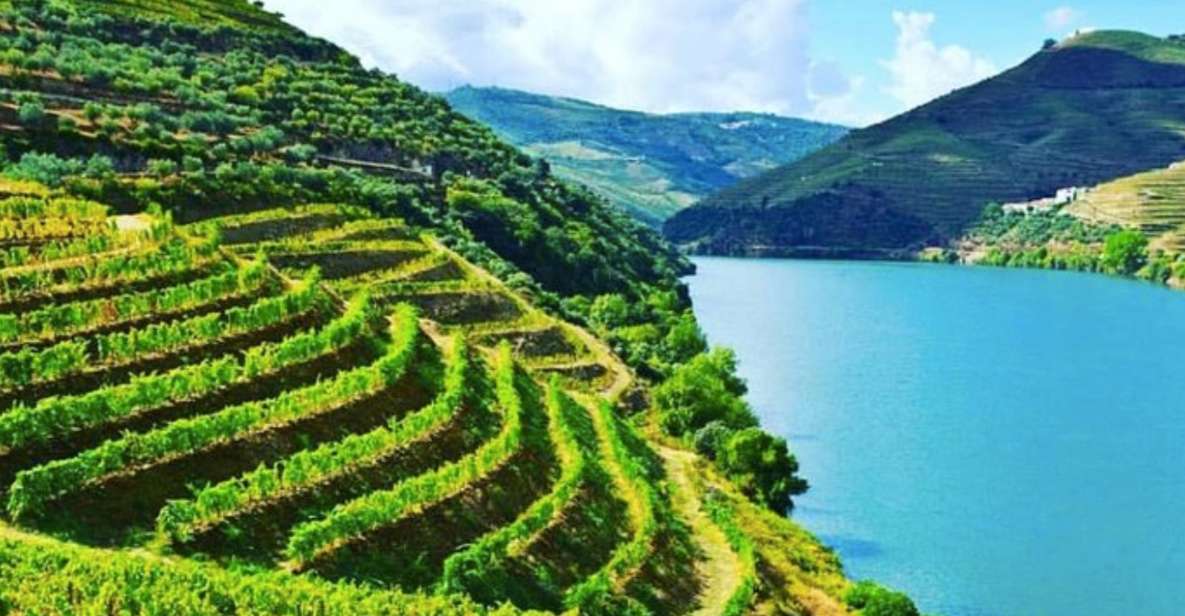 Porto: Douro Valley Guided Tour, 3 Tastings, Lunch & Cruise - Key Points