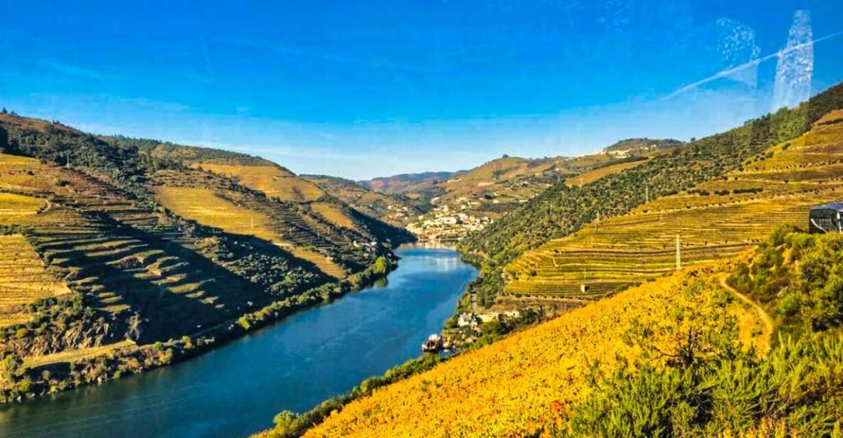 Porto: Douro Valley Tour With 3 Wineries & Lunch - Key Points