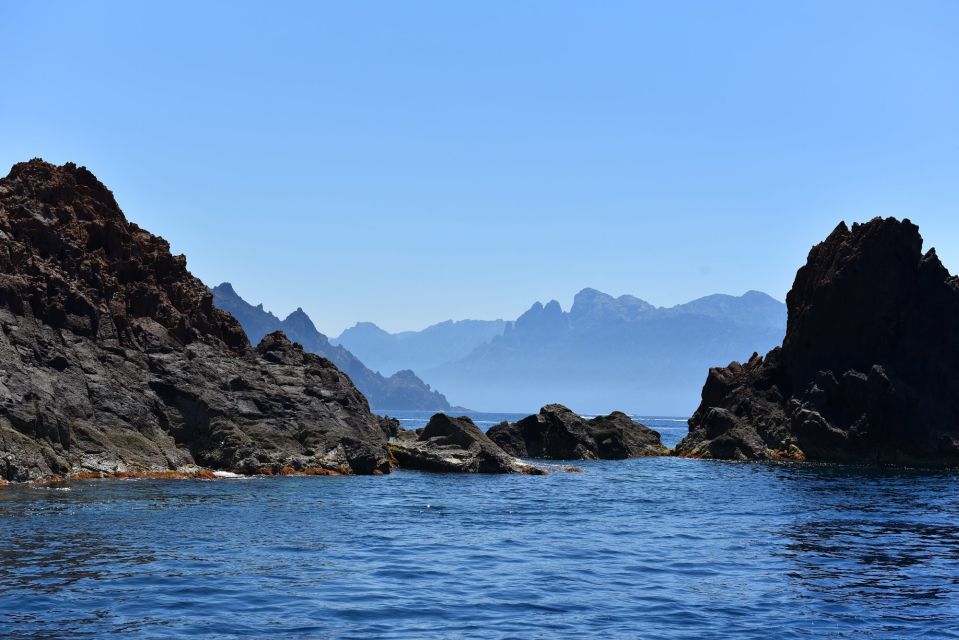 Porto: Scandola and Calanches of Piana Boat Trip - Key Points