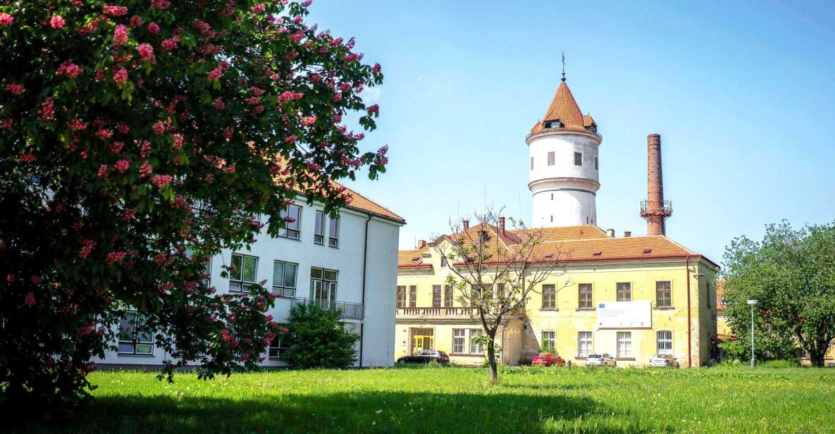 Prague: Psychiatric Hospital and Abandoned Cemetery Tour - Key Points