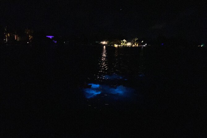 Private: Bioluminescence Tour - Overview of the Tour