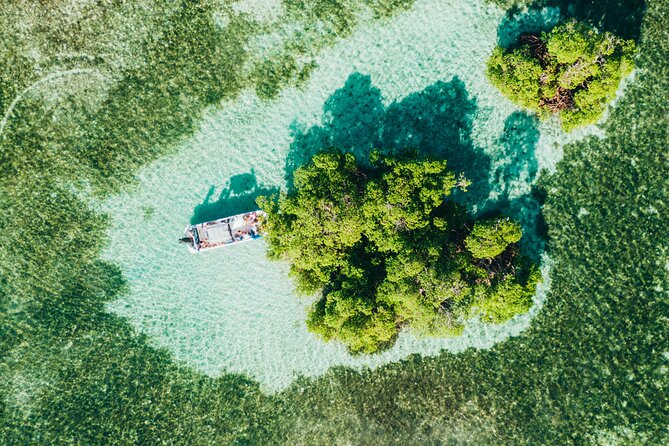 Private Boat Trip With Guide on the Most Beautiful Lagoon of Guadeloupe - Key Points