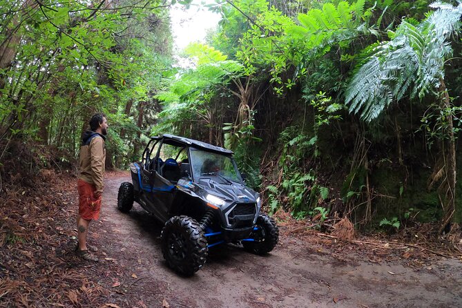 Private Buggy Off-Road Tour - Tour Details