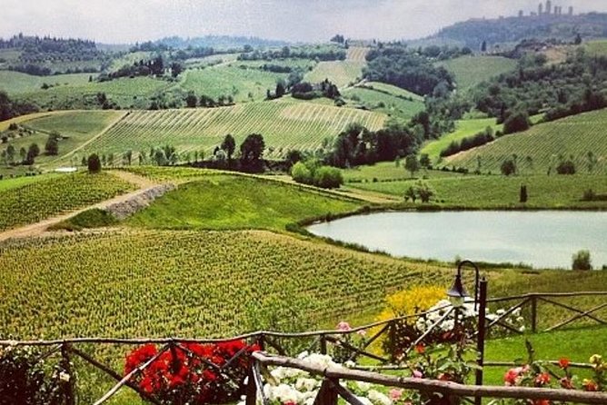 Private Chianti Classico Tour With Wine and Food Tasting in a Historic Estate - Key Points