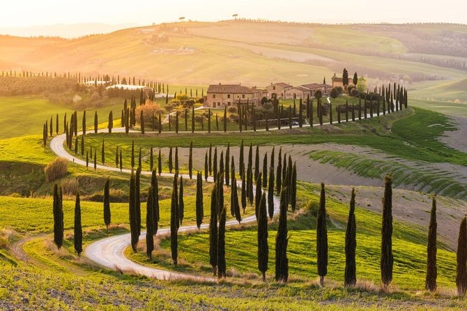 Private Day Trip Tuscany Landscape And Wine Tasting From Florence Key Points