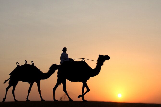 Private Desert Safari Tour in Dubai - Key Points