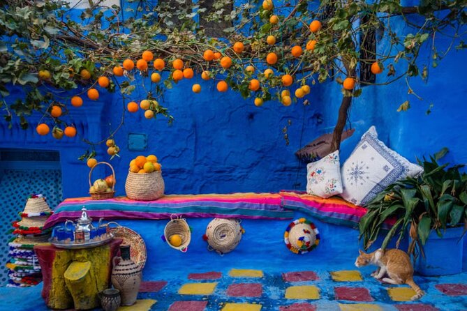 Private Full-Day Trip in Chefchaouen - Overview of the Trip