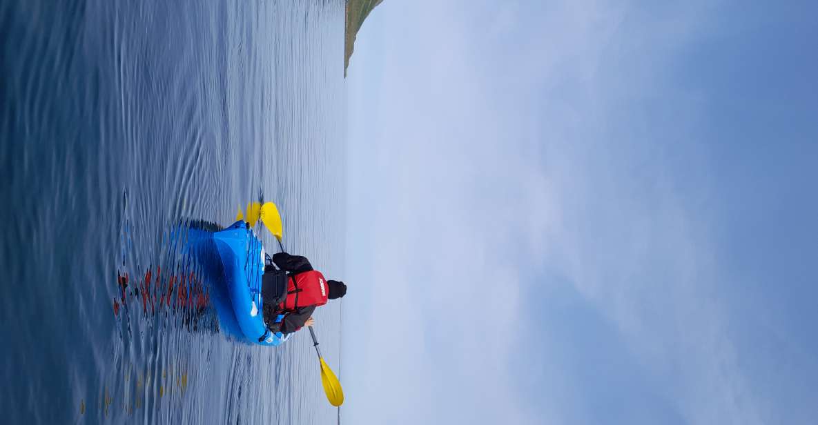 Private: Guided Kayak Tour in Siglufjörður. - Key Points