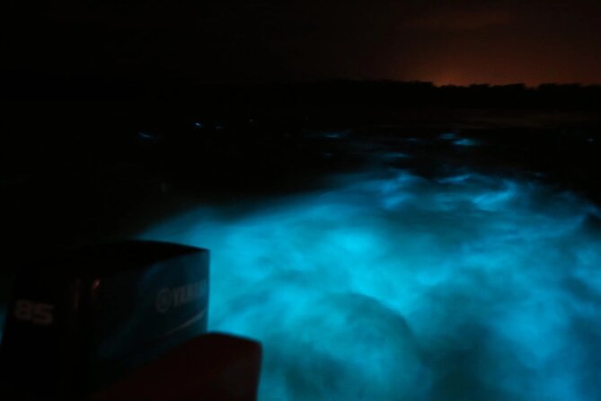 Private Guided Night Tour of Luminous Lagoon in Montego Bay - Key Points