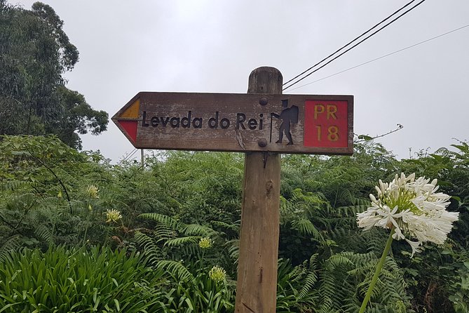 Private Guided Walk Levada Do Rei - Overview