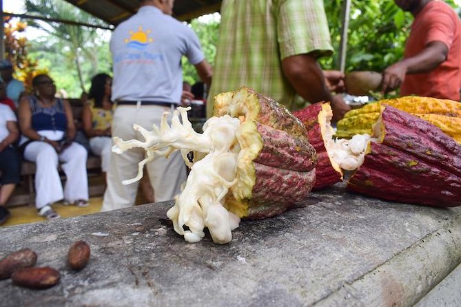 Private Higuey Cultural Tour From Punta Cana (Half-Day) - Highlights of the Experience