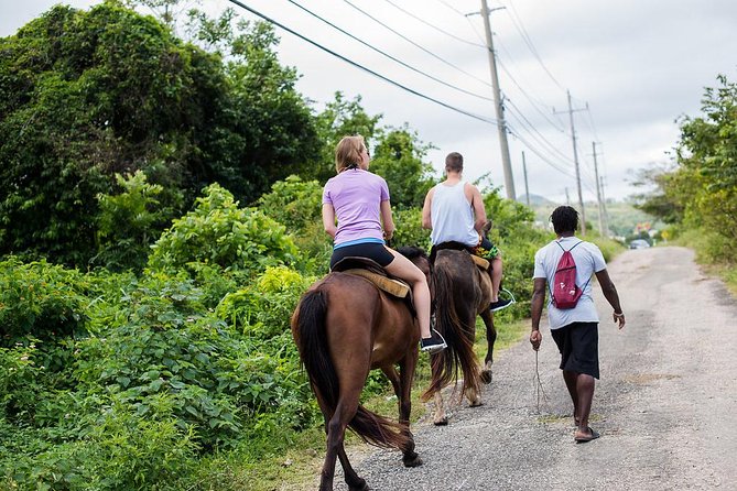 Private Horseback Riding From Ocho Rios With Guide - Overview of the Tour