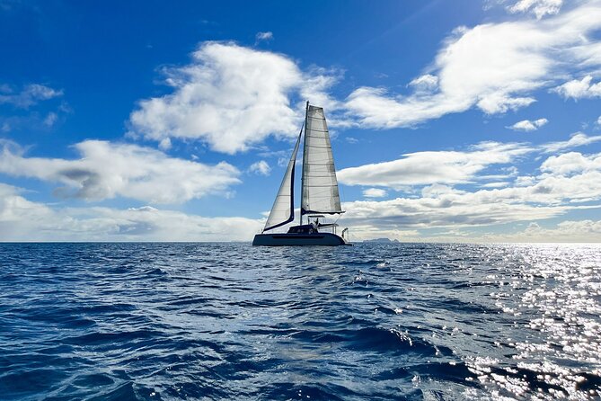 Private Luxury Catamaran Madeira´s Coastline Sailing Tours - Inclusions