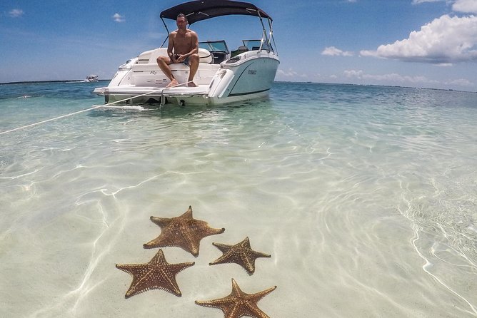 Private, Luxury, Custom Charters to Stingray City, Snorkeling & More - Key Points