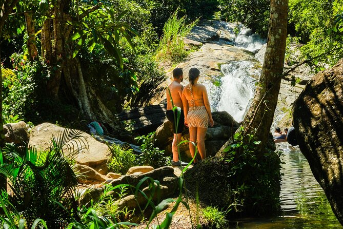 Private Rainforest Waterfall Escape Local Foods and Beach Tour - Key Points