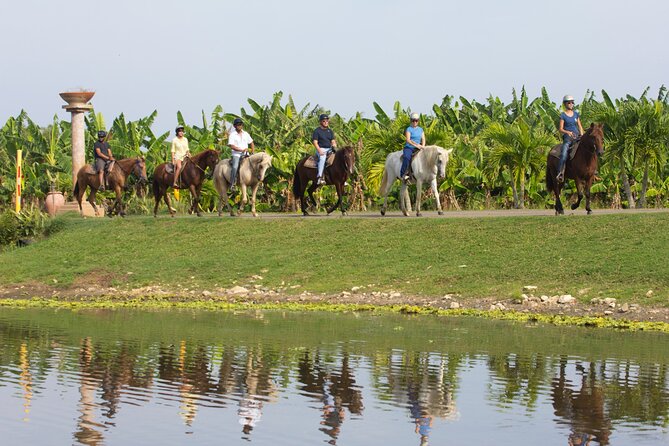 Private Ranch Horseback Tour in Carolina, Puerto Rico - Activity Overview