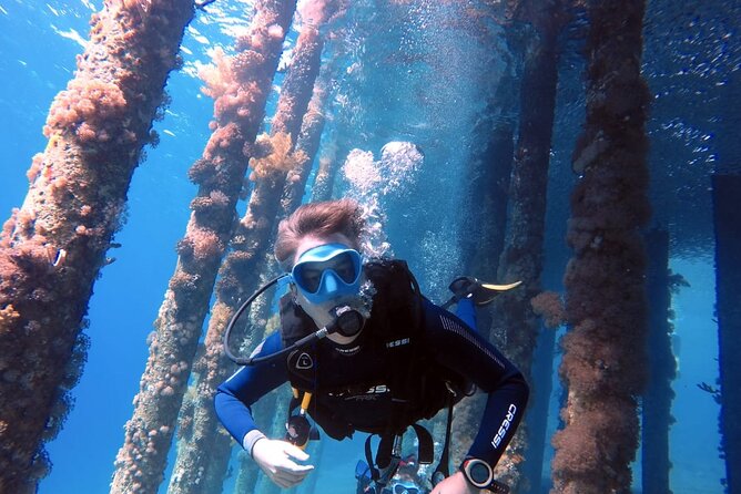 Private Scuba Diving Adventure in the Red Sea of Aqaba - Key Points