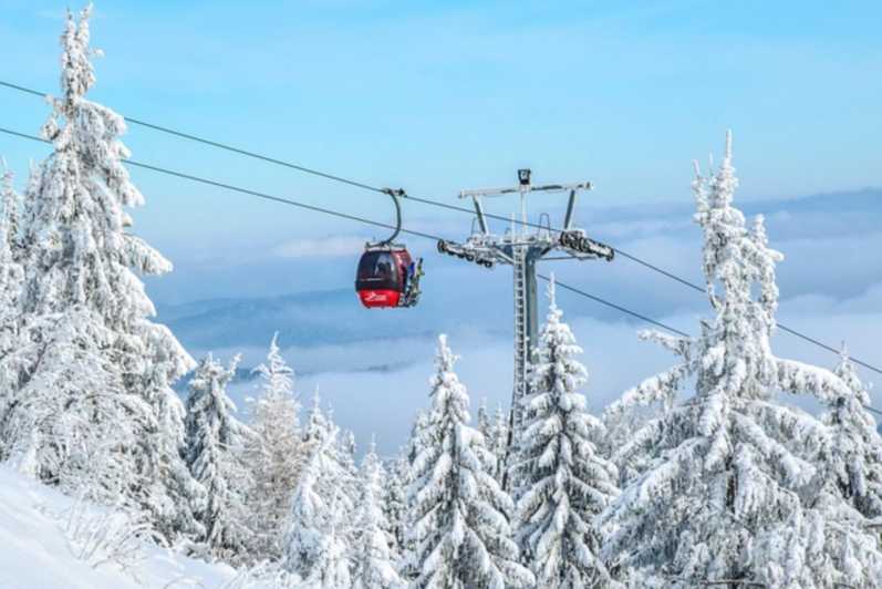 Private Ski Safari Day With Transport - Key Points