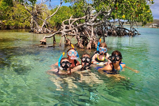 Private Snorkeling and Biobay Boat Tour From San Juan - Explore Pargueras Vibrant Coast