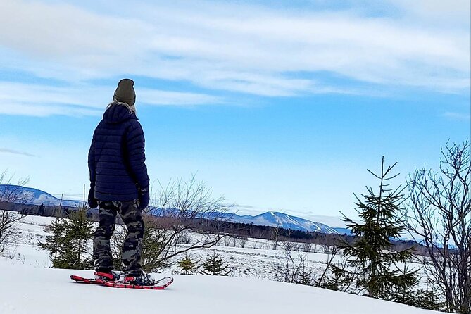 Private Snowshoeing on the Île D'orléans - Key Points