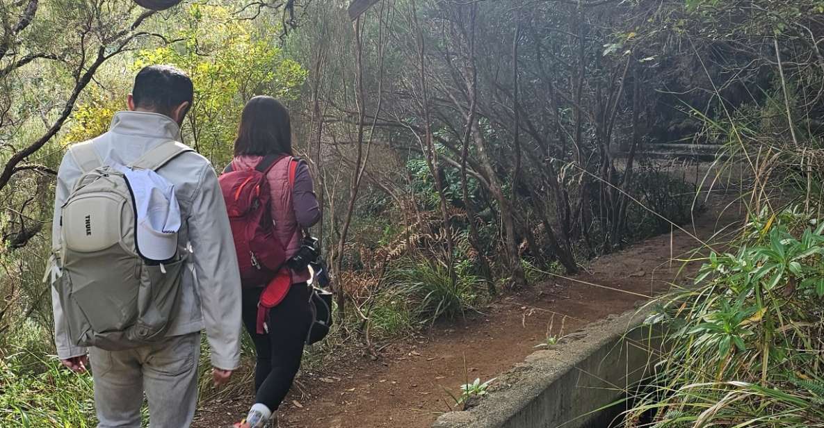 Private Tour: 25 Fontes Levada Hike - Key Points