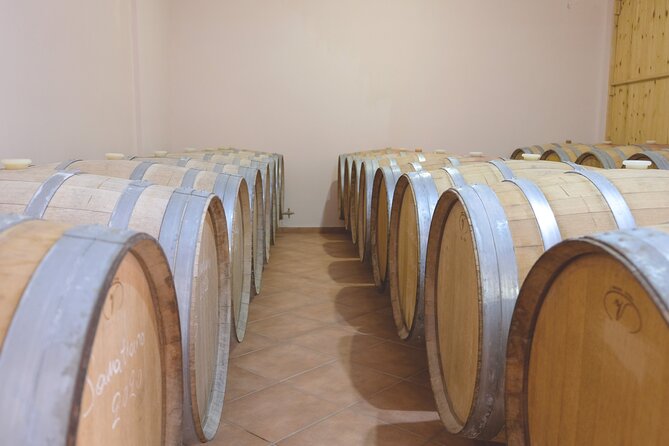 Private Tour and Tasting at Zeginis Winery - Tour Overview