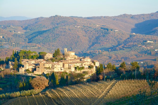 Private Tour: Chianti Region Tour by Minivan - Key Points