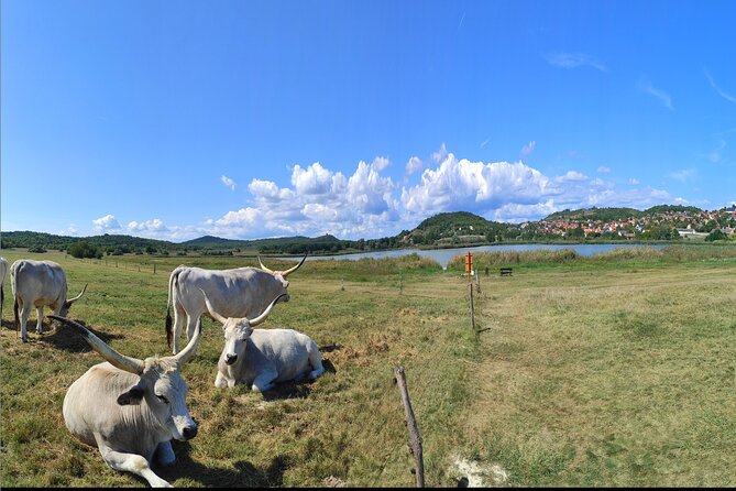 Private Tour From Budapest to a Top Hidden Treasure Region of Europe: Lake Balaton - Tour Overview