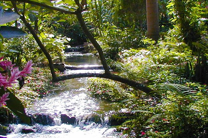 Private Tour From Ocho Rios To Konoko Falls And Garden and Shopping - Key Points