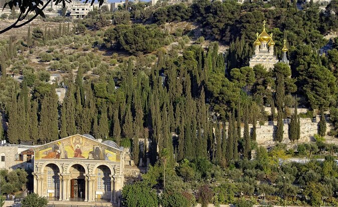 Private Tour Guide and a Video to Remember Your Day in Jerusalem - Key Points