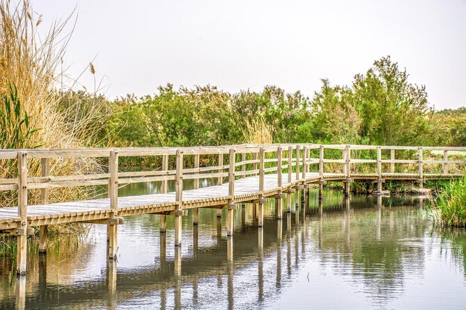 Private Tour of Desert Castles Eastern Jordan With Optional Azraq Wetland Visit - Key Points