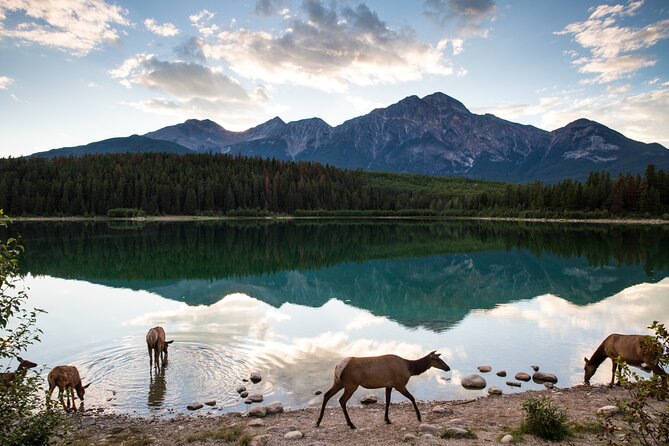 Private Tour: The Best of Banff National Park - Full Day - Key Points