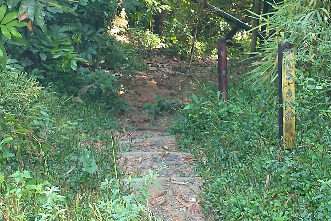 Private Tour to Pristine Swimming Hole In Puerto Rico Jungle - Meeting and Pickup