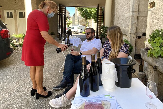 Private Tour: Wines of Burgundy Day Tour From Beaune - Key Points