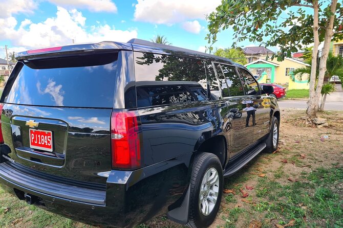 Private Transportation to Negril From Montego Bay - Overview of Private Transportation