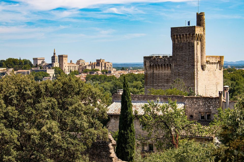 Private Walking Tour of Avignon - Key Points